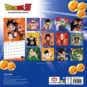 Dragon Ball Z Kalender 2021 *Englische Version*