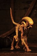 Alien 3 Creature Accessory Pack for Action Figures