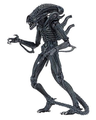 Aliens Action Figure 23 cm Ultimate Warrior Case (8)