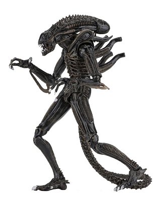 Aliens Action Figure 23 cm Ultimate Warrior Case (8)
