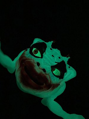 Boglins Hand Puppet Dark Lord Crazy Clown  (Glow In The Dark)