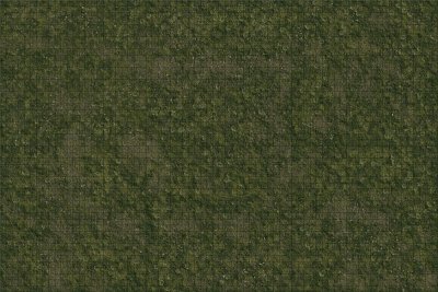 D&D Icons of the Realms: Battle Mat Grasslands