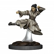 D&D Icons of the Realms Premium Miniature pre-painted Human Monk Female Case (6)