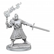 Dungeons & Dragons Frameworks Miniature Model Kit Human Fighter Male