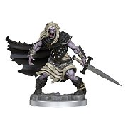 Dungeons & Dragons Frameworks Miniature Model Kit Wight