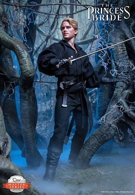 The Princess Bride Master Series Action Figure 1/6 Westley/Dread Pirate Roberts 30 cm