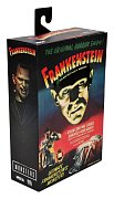 Universal Monsters Action Figure Ultimate Frankenstein\'s Monster (Color) 18 cm