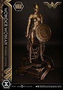 Wonder Woman Statue Wonder Woman Training Costume Gold Version 80 cm