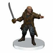 D&D Icons of the Realms: Saltmarsh Miniaturen vorbemalt Box 1