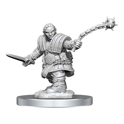 D&D Nolzur\'s Marvelous Miniatures Miniatur unbemalt Dwarf Fighter Female Sortiment (2)