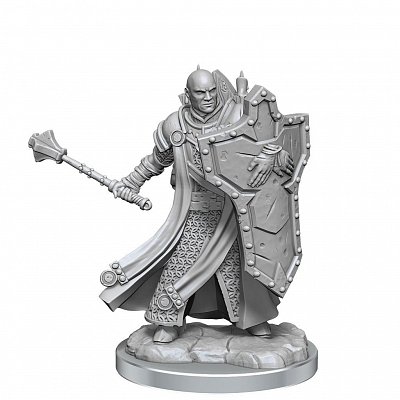 Dungeons & Dragons Frameworks Miniatur-Bausatz Human Cleric Male