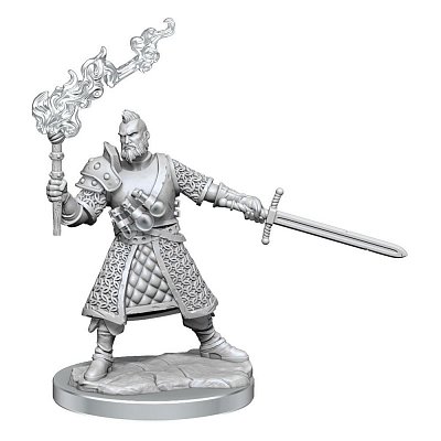 Dungeons & Dragons Frameworks Miniatur-Bausatz Human Fighter Male