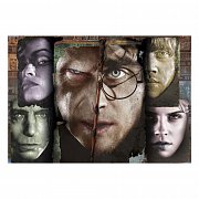 Harry Potter Briefcase Puzzle Good vs. Evil (1000 Teile)