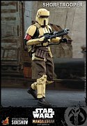 Star Wars The Mandalorian Actionfigur 1/6 Shoretrooper 30 cm