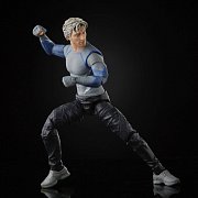 The Infinity Saga Marvel Legends Series Actionfigur 2021 Quicksilver (Avengers: Age of Ultron) 15 cm