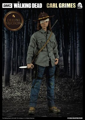 The Walking Dead Actionfigur 1/6 Carl Grimes Deluxe Version 29 cm