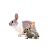 KRÁLÍCI A ZAJÍCI