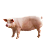 PRASATA