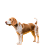 PSI