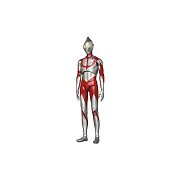 Ultraman MAF EX Action Figure Ultraman 16 cm