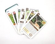 Kvarteto Zvířata a zvěř ČR