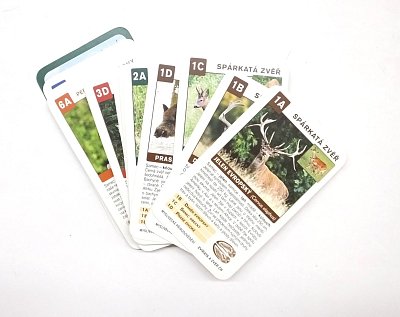 Kvarteto Zvířata a zvěř ČR