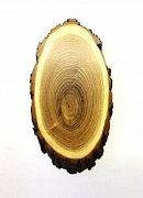 Podložka srnec akát