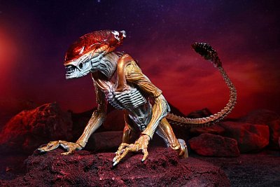 Aliens Actionfigur Panther Alien (Kenner Tribute) 23 cm