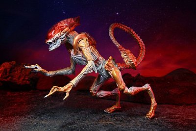 Aliens Actionfigur Panther Alien (Kenner Tribute) 23 cm
