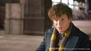 Phantastische Tierwesen Schal Newt Scamander 190 cm
