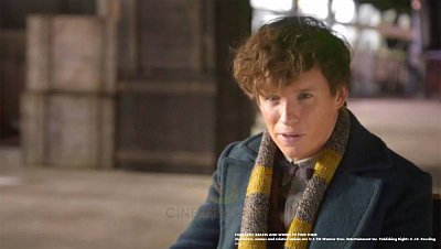 Phantastische Tierwesen Schal Newt Scamander 190 cm