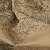 Gobi 1